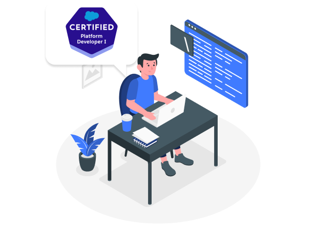 Salesforce Developer Course for Beginner