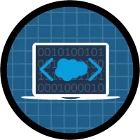 Salesforce Developer Course for Beginner icon