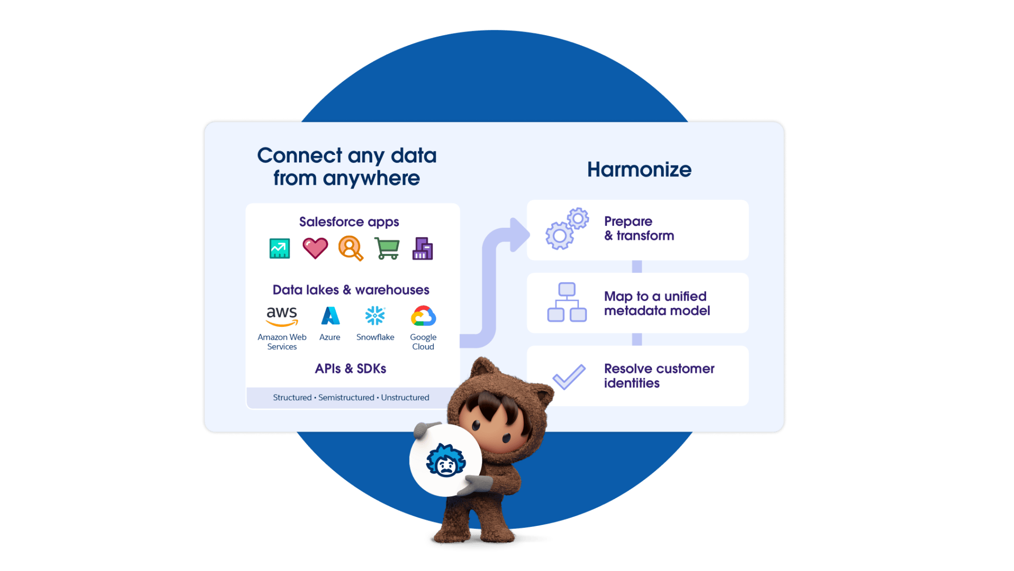 Salesforce Data Cloud